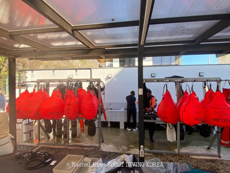 Ghost Diving - Ghost Fishing in the Korean Sea