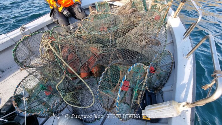 Ghost Diving - Ghost Fishing in the Korean Sea