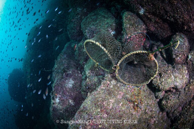 Ghost Diving - Ghost Fishing in the Korean Sea