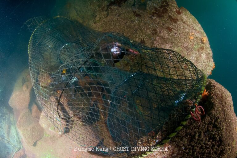 Ghost Diving - Ghost Fishing gear recovery in the Korean Sea