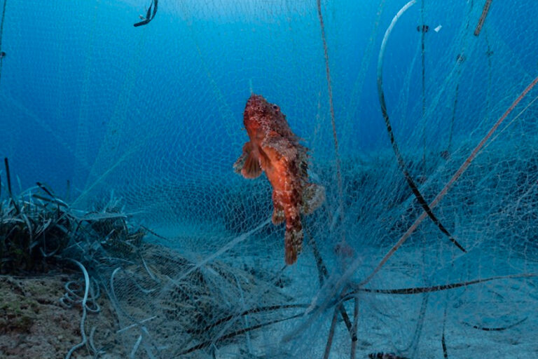 Illegal fishing gear ends up ghost fishing in Cyprus