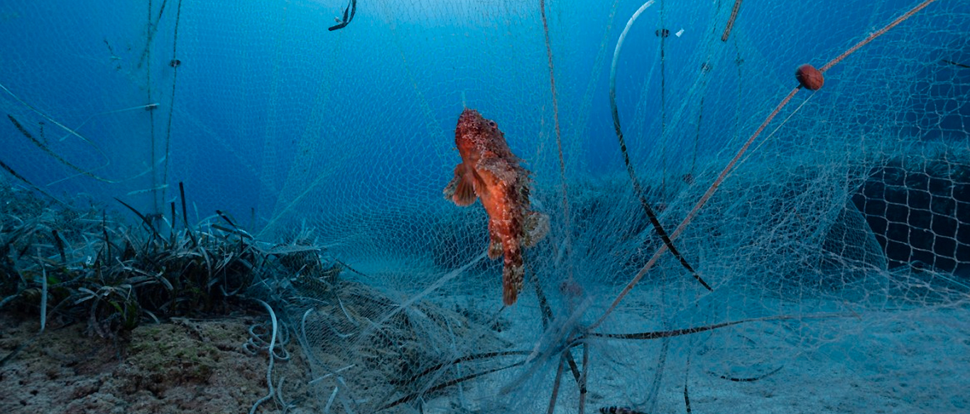 Illegal fishing gear ends up ghost fishing in Cyprus