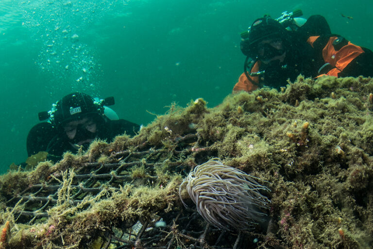 Ghost Diving - Divers recovering ghost fishing pods