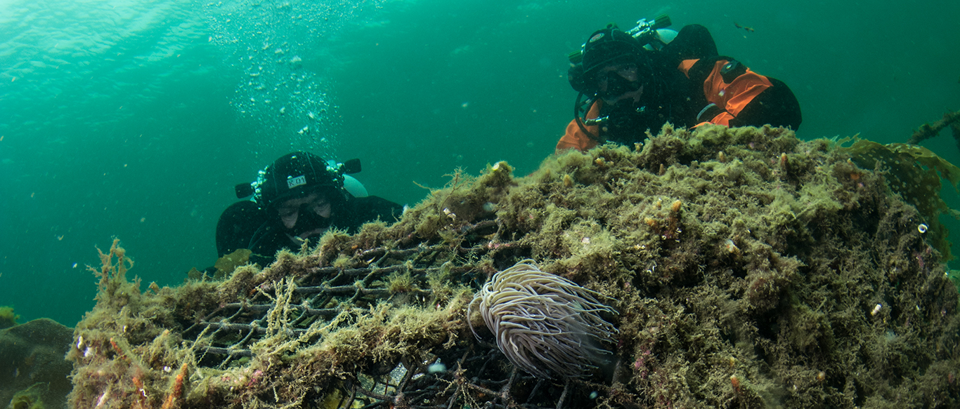 Ghost Diving - Divers recovering ghost fishing pods