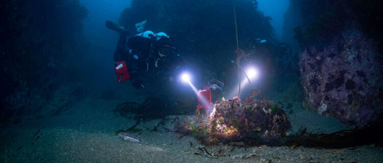 Ghost Diving - Divers from Chapter New Zealand with craypot recovery.