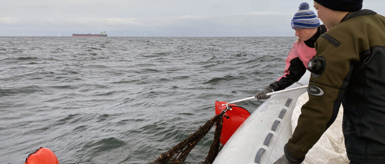 Raiding the Baltic Sea with Ghost Diving Germany