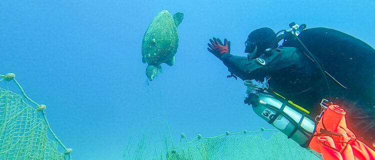 The extremely high price of our eating habits