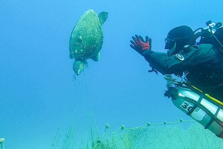 The extremely high price of our eating habits