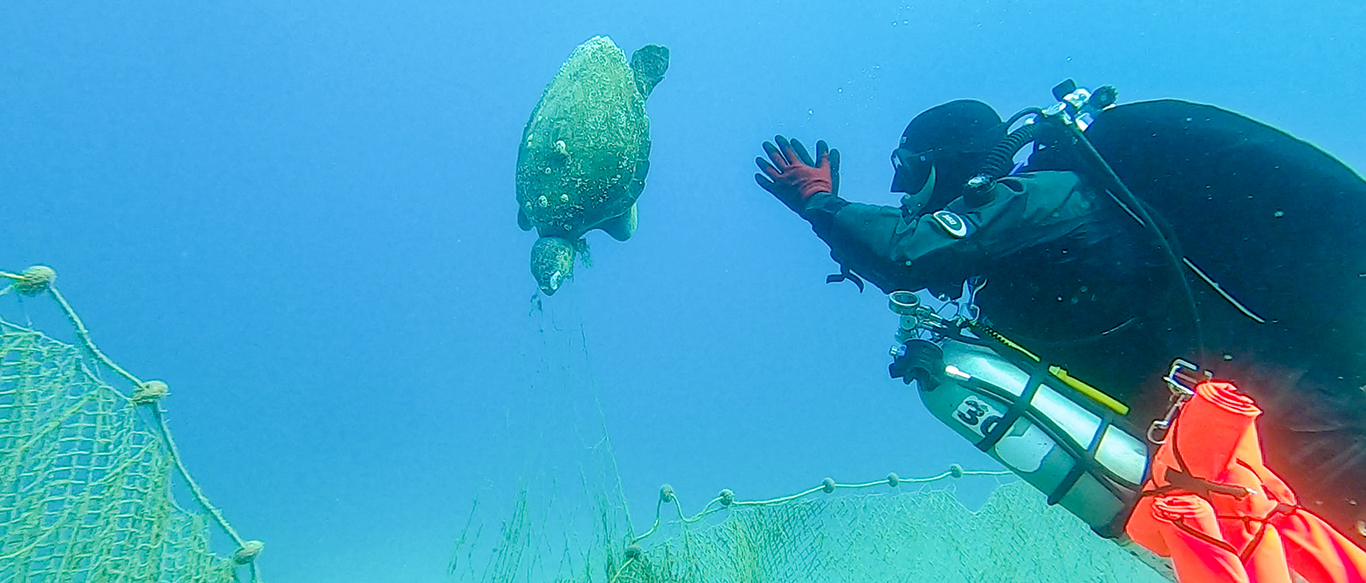 The extremely high price of our eating habits