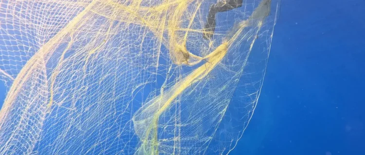 Ghost Diving Greece Removes Newly Lost Gill Net at Gidaki Beach, Ithaca