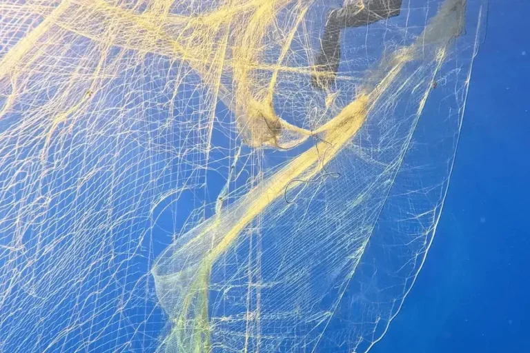 Ghost Diving Greece Removes Newly Lost Gill Net at Gidaki Beach, Ithaca