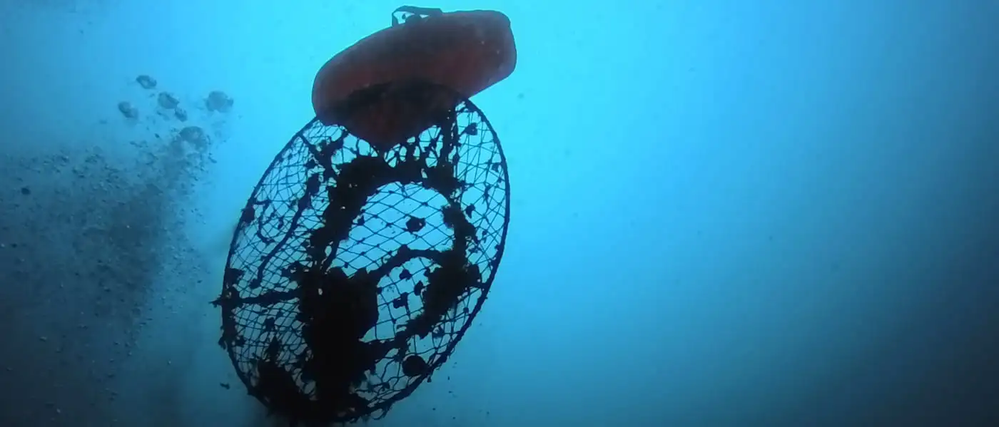 lobster hoop nets cleanup – ghost diving usa Lost lobster hoop nets being recovered by Ghost Diving USA Volunteer Divers