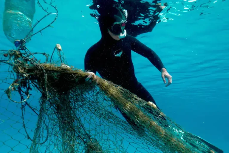Ghost Nets in Dahab towed by a freediver to the shore.